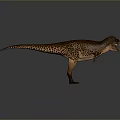 Tyrannosaurus Rex Dinosaur Model With Spotted Skin Open Mouth And Tail On Gray Background