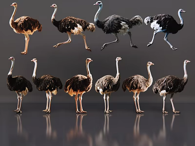 Diverse Reptile Species Showing Various Poses And Natural Color Patterns 3d model