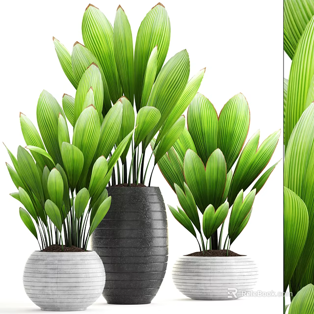 Bonsai Potted Plants With Lush Green Leaves In Ceramic Pots For Home Decor 3d model 