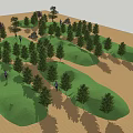 Arbor Trees In Green Grass Rolling Terrain With People Walking