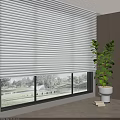 White Window Blinds In Bright Room With Green Outdoor View And Potted Plant