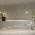 Modern Store Front Desk With Illuminated Counter Minimalist Design Gray Textured Wall And Potted Plant