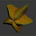 Halved Ripe Starfruit Fresh Tropical Fruit With Juicy Yellow Flesh