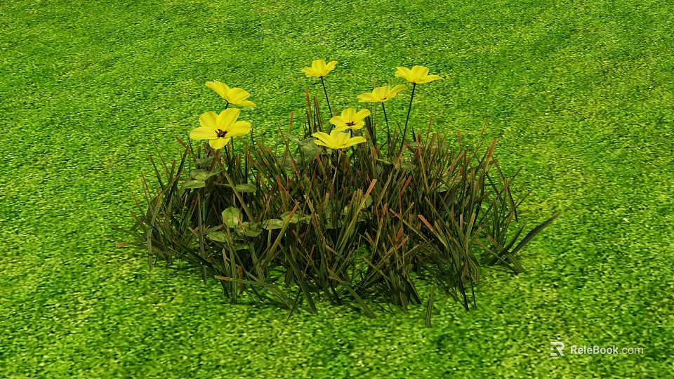 Yellow Flowers Blooming In Fresh Green Grass Meadow With Natural Greenery 3d model 