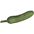 Green Zucchini Vegetable with Fresh Striped Skin on White Background