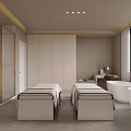 Modern SPA Room Featuring Massage Beds Two Bathtubs And Shower 3d model