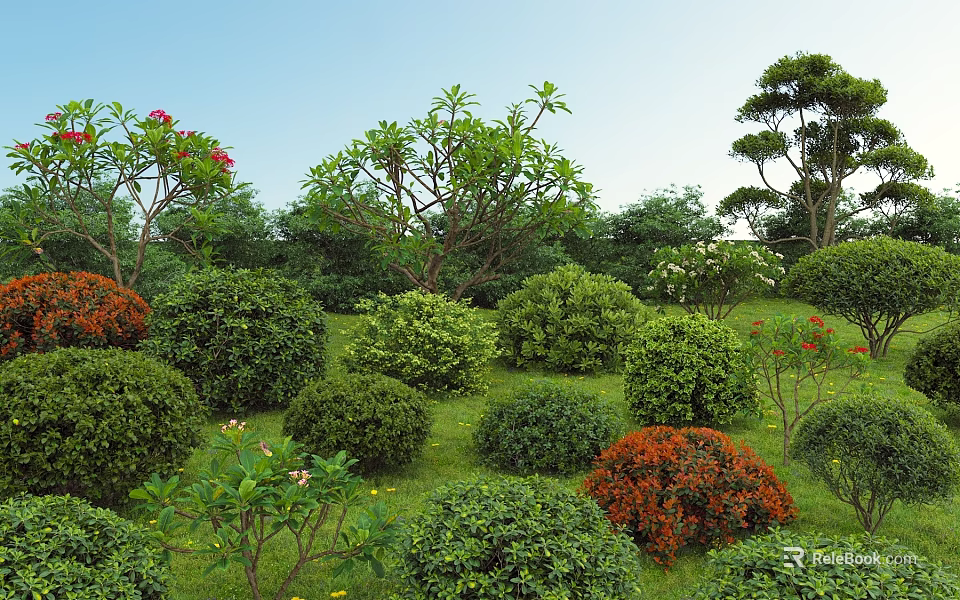 Vibrant Green And Red Rounded Shrubs In Lush Outdoor Garden Landscape 3d model 