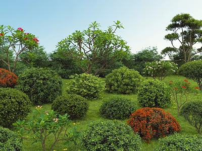 Vibrant Green And Red Rounded Shrubs In Lush Outdoor Garden Landscape 3d model