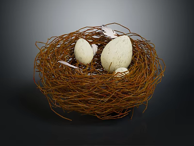 Natural Brown Twig Nest Holding White Eggs Against Dark Background 3d model