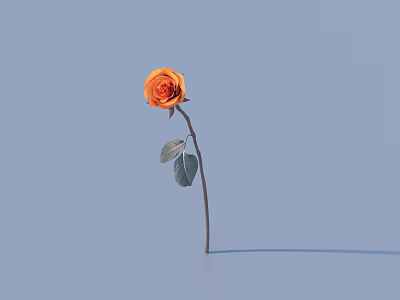 Single Orange Rose Decorative Flower with Stem and Leaves for Home Decor 3d model