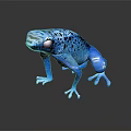 Vibrant Blue Frog With Black Spots And Shiny Skin On Dark Reflective Surface