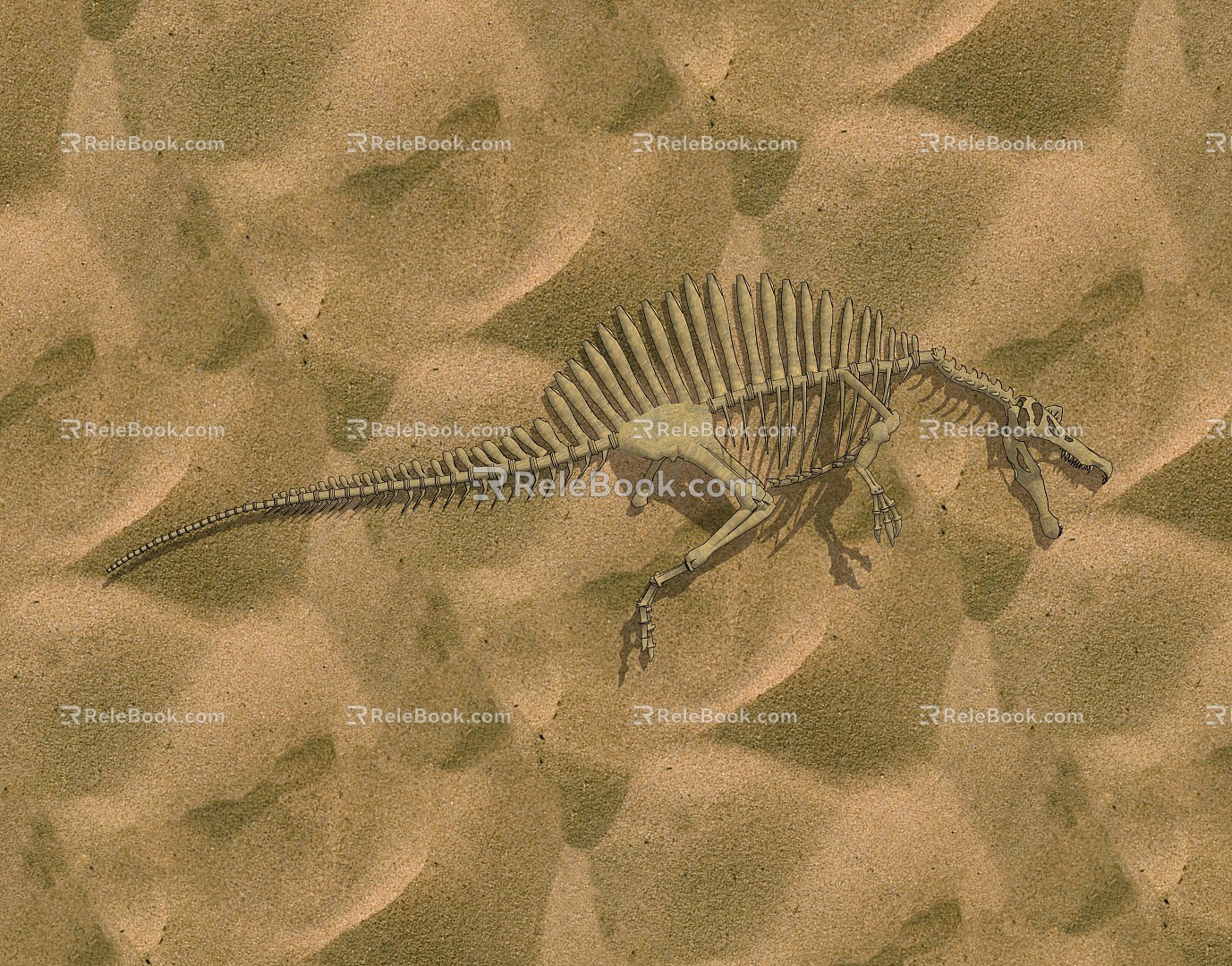 Modern Fossil Dinosaur Dinosaur Fossil Desert Zone Desert 3d model