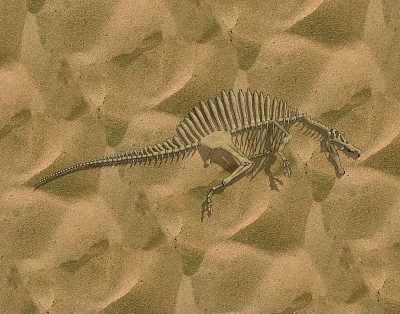 Public Facility Museum Dinosaur Skeleton Exhibit With Sandy Background Display Area 3d model