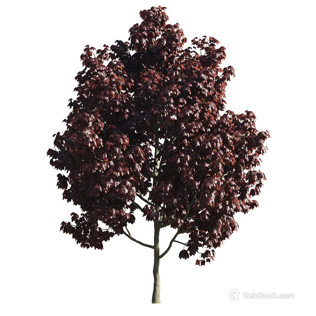 Vibrant Purple Leaf Arbor With Lush Canopy And Dense Foliage Structure 3d model 