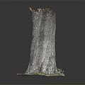 Wooden Stone Tree Stump Decorative Sculpture With Natural Green Base Accents