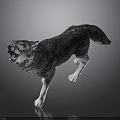 Detailed Realistic Wolf Sculpture Howling While Running On Dark Gray Background