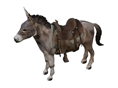 Brown Donkey With Leather Saddle And Riding Gear Standing Isolated 3d model