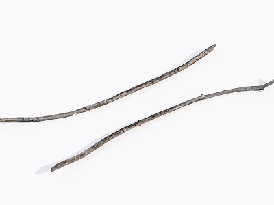 Natural Stone Wood Branches With Dry Textured Surface And Simple Shape 3d model