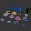 Colorful Decorative Household Items With Seashells Starfish Corals And Seaweed
