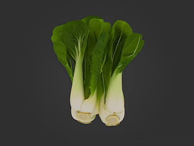 Fresh Organic Bok Choy Vegetable With Vibrant Green Leaves And Crisp White Stems 3d model