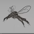 Mechanical Metallic Insect Featuring Transparent Wings Long Slender Legs And Reflection In Dark Background