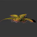 Variegated Foliage Plant Showcasing Broad Yellow Green Leaves with Red Edges on Dark Background