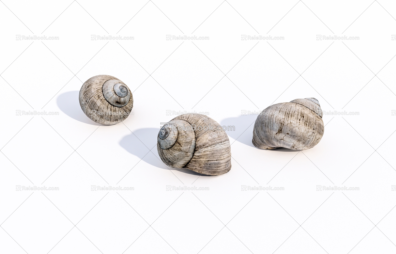 The shell of a snail 3d model