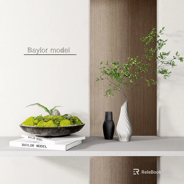 Decorative Ornament Set With Green Plant Arrangement Black White Vases And Baylor Model Books 3d model 