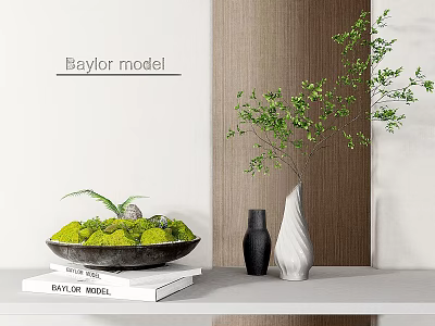 Decorative Ornament Set With Green Plant Arrangement Black White Vases And Baylor Model Books 3d model