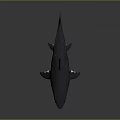 Realistic 3D Shark Model With Gray White Body And Dorsal Fin On Dark Background