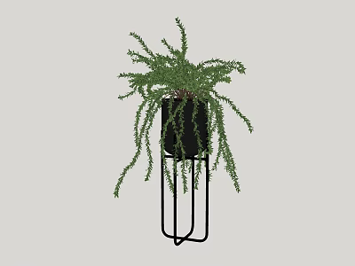 Modern Bonsai Potted Plant With Hanging Foliage In Black Pot On Metal Stand 3d model