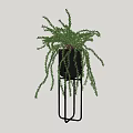 Modern Bonsai Potted Plant With Hanging Foliage In Black Pot On Metal Stand