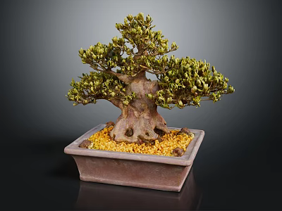 Lush Foliage Bonsai Tree With Thick Trunk In Square Pot And Yellow Pebbles 3d model