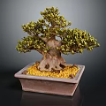 Lush Foliage Bonsai Tree With Thick Trunk In Square Pot And Yellow Pebbles