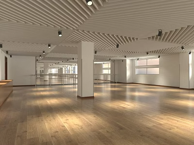 Public Space Dance Classroom 3d model