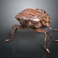 Realistic Detailed 3D Rendered Beetle With Brown Exoskeleton Compound Eyes And Legs