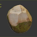 Fresh Green Coconut Fruit With Natural Peeled Surface And Smooth Texture
