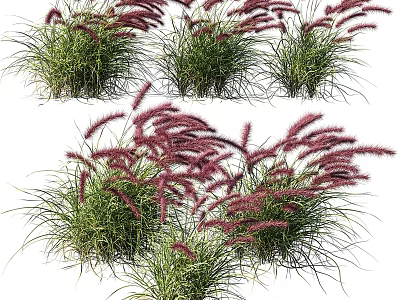 Bonsai Potted Plants With Red Spiked Flowers And Lush Green Foliage Clusters 3d model