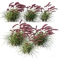 Bonsai Potted Plants With Red Spiked Flowers And Lush Green Foliage Clusters