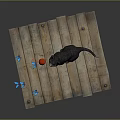 Gray Cat Sitting on Rustic Wooden Platform with Red Ball and Blue Butterflies