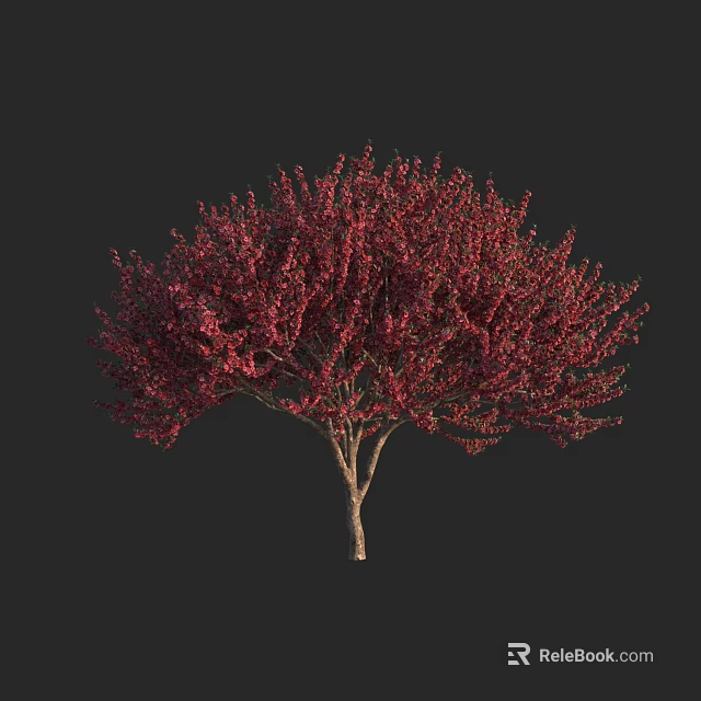 Ornamental Deciduous Tree With Vibrant Red Foliage Lush Canopy And Brown Trunk 3d model 