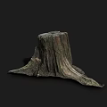 Natural Wooden Tree Stump With Rough Texture On Dark Background