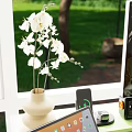Modern Desk And Chair Set With Computer Setup By Window Green Plants Wooden Floor