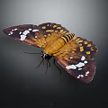 Modern Butterfly Colored Butterfly Tabby Butterfly Leaf Butterfly 3d model