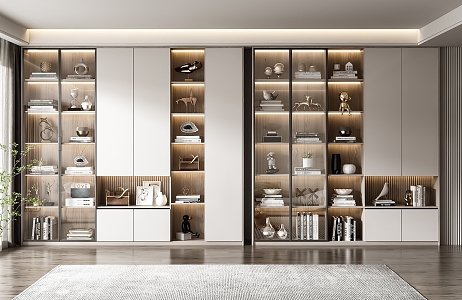 Modern bookcase combination 3d model