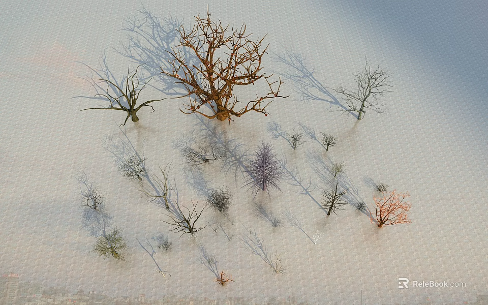 Various Types Of Trees With Different Shapes And Colors On Snowy Grid Surface 3d model 