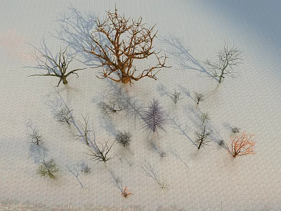 Various Types Of Trees With Different Shapes And Colors On Snowy Grid Surface 3d model