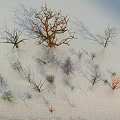 Various Types Of Trees With Different Shapes And Colors On Snowy Grid Surface