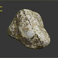 Natural Wood Stone Showing White Brown Speckled Texture And Natural Rough Surface