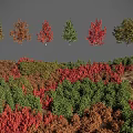 Diverse Colorful Shrubs with Red Green Brown Foliage in Landscape Arrangement